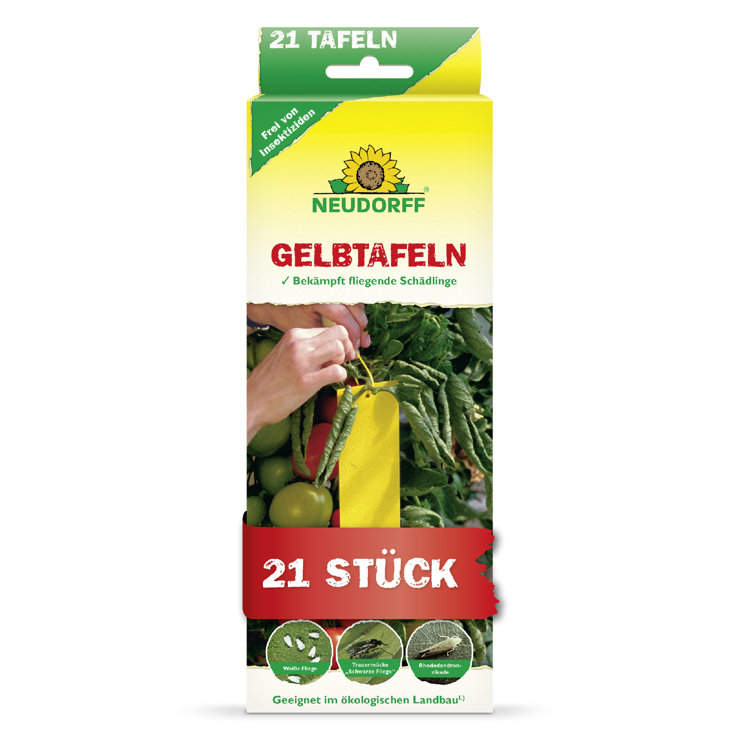 Gelbtafeln (kleinformatig)