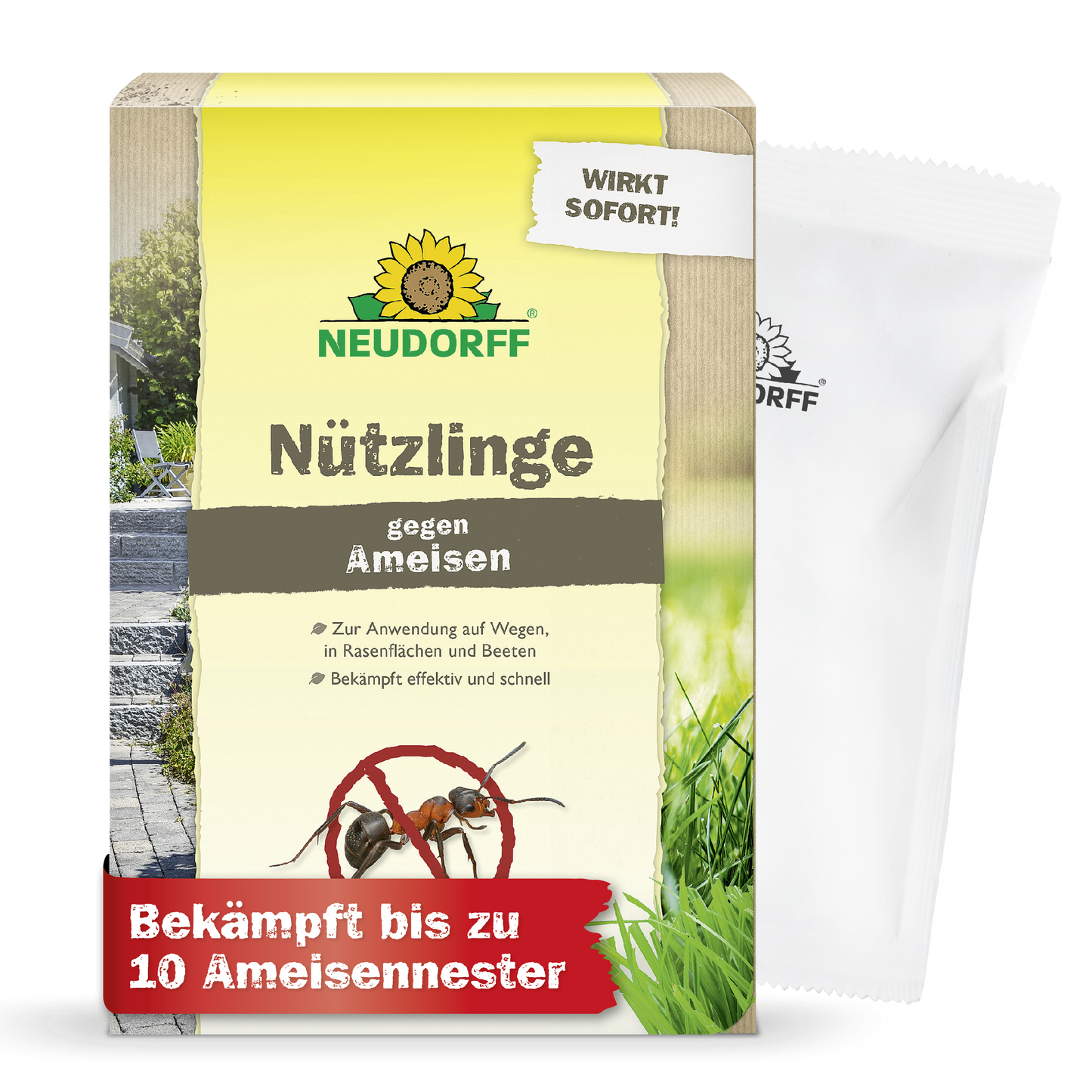 Nützlinge gegen Ameisen