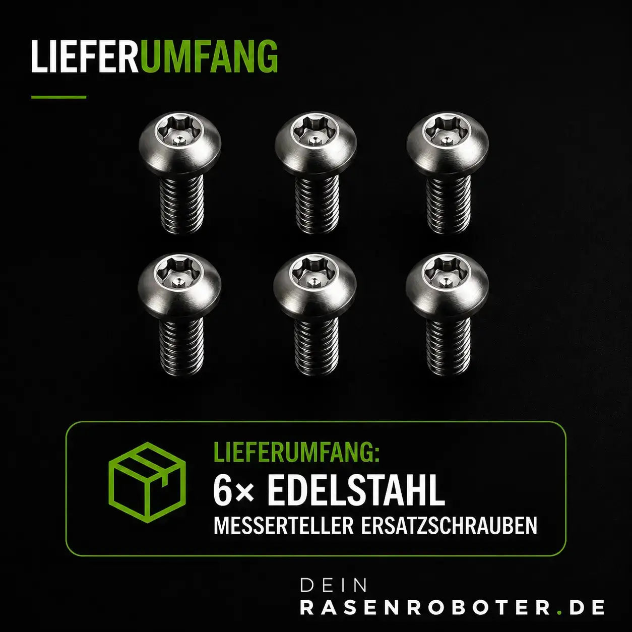 Infografik mit Lieferumfang von 6x Edelstahl Schrauben und Vorteilen wie Rostfreiheit und TX20 Torx-Antrieb