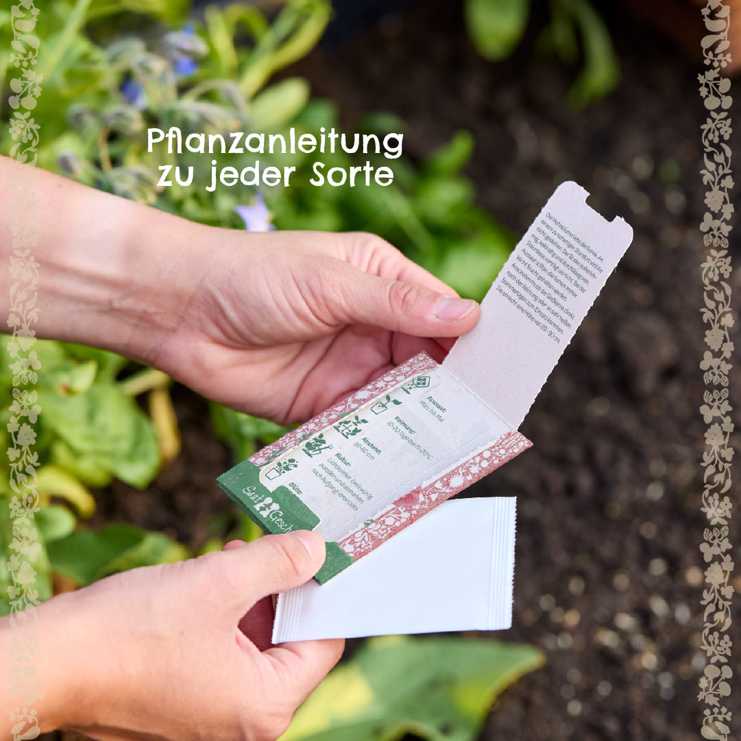 BIO-Saatgut Kapuzinerkresse