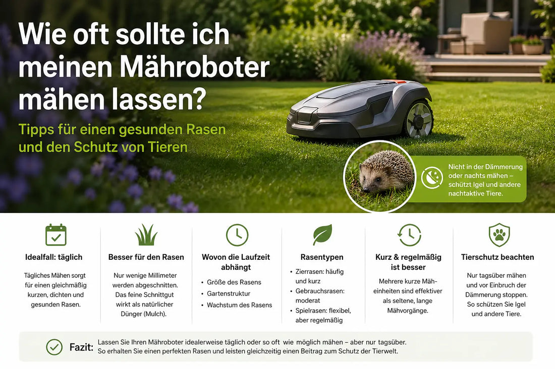 Wie oft sollte ich meinen Mähroboter mähen lassen?