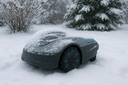 Mähroboter Winter