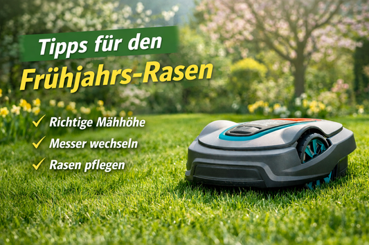 So hältst du deinen Rasen im Frühjahr perfekt grün – Profi-Tipps für Mähroboter-Nutzer