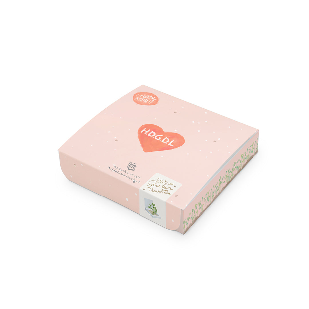 Pflanzkästchen - HDGDL - Hab dich ganz doll lieb