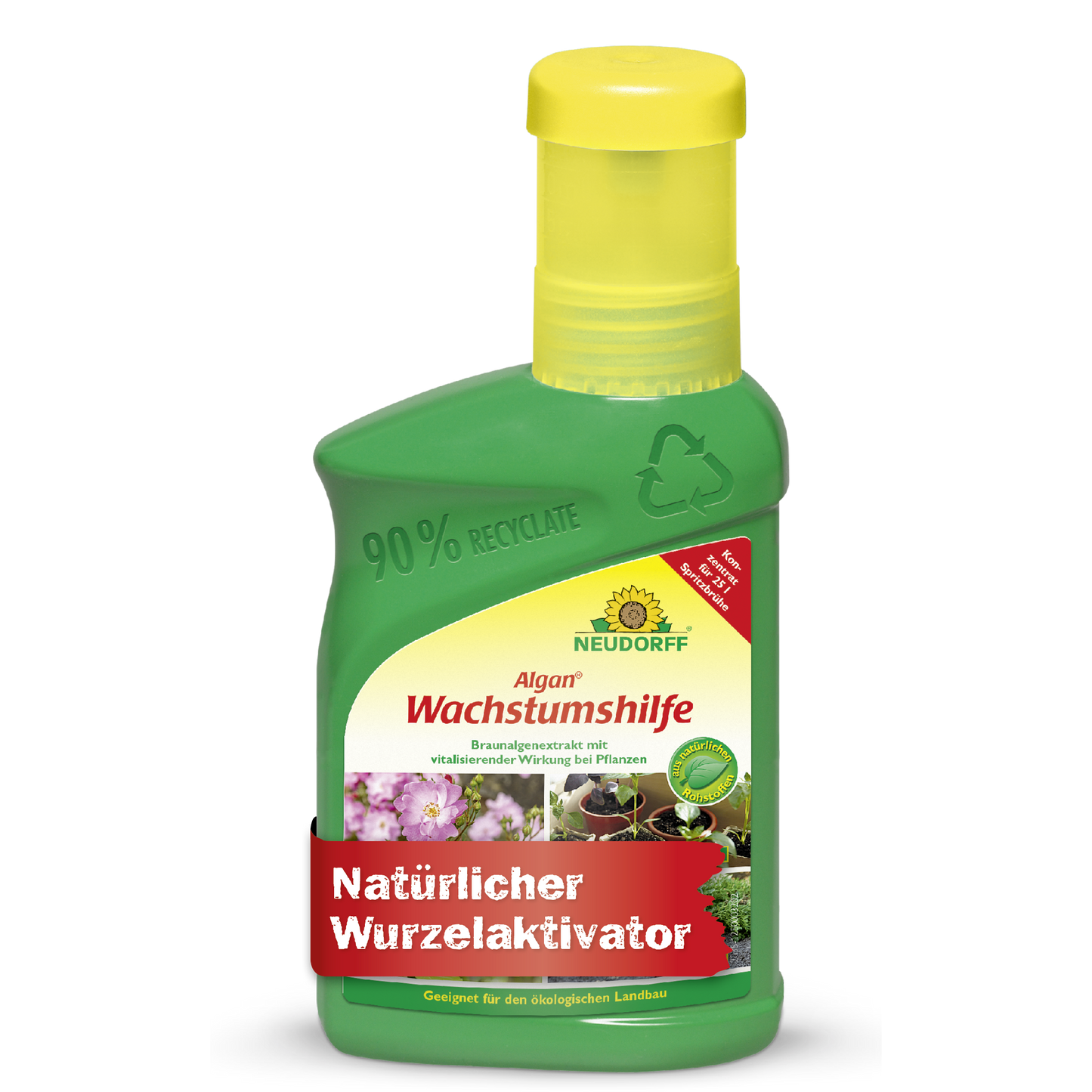 Algan Wachstumshilfe