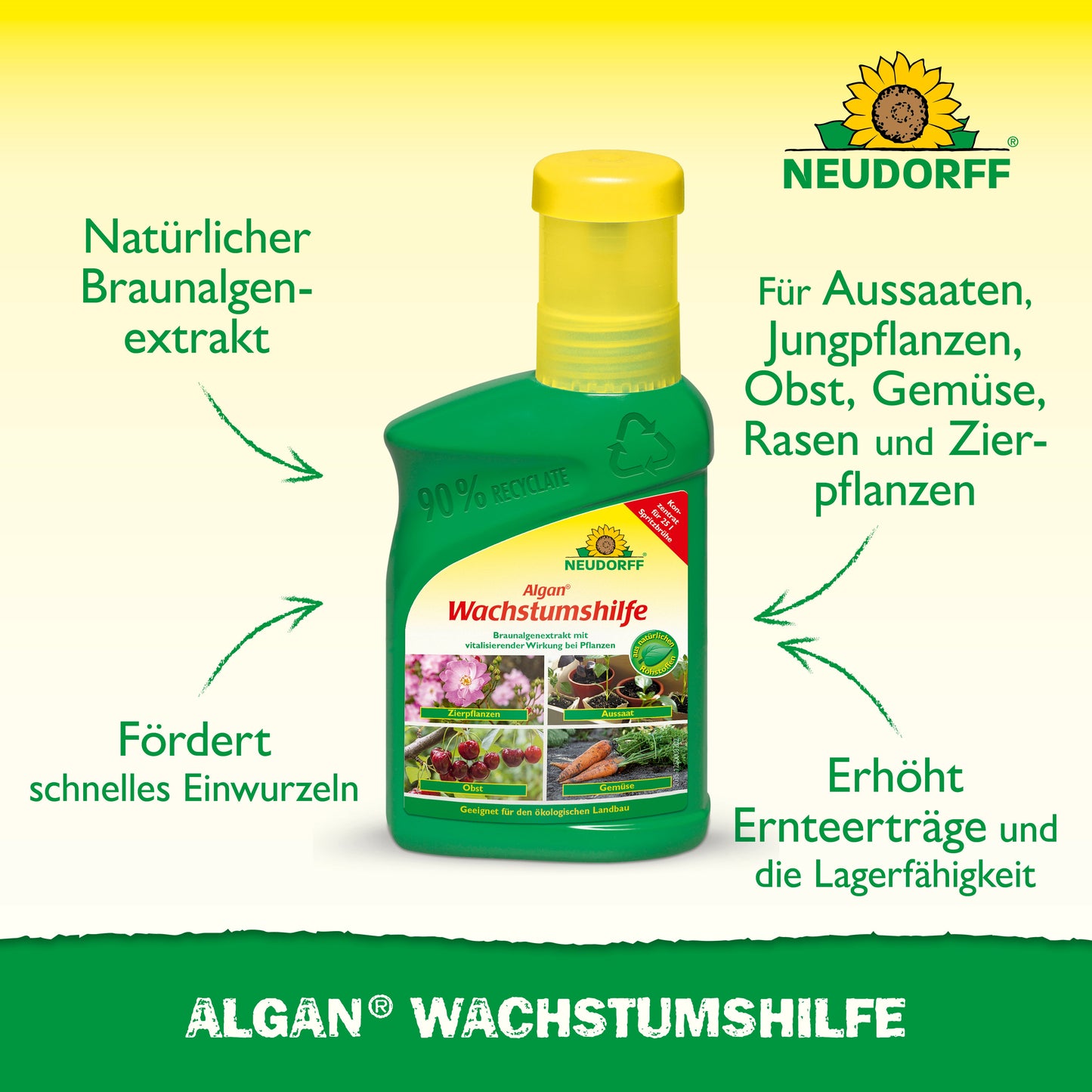 Algan Wachstumshilfe