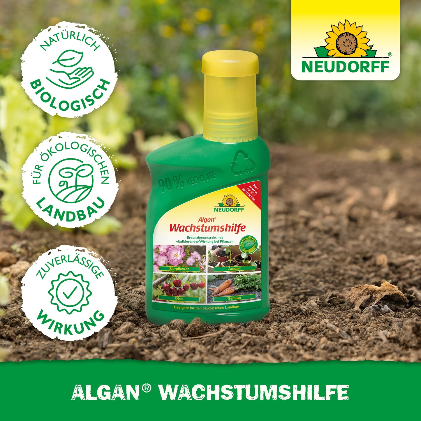 Algan Wachstumshilfe