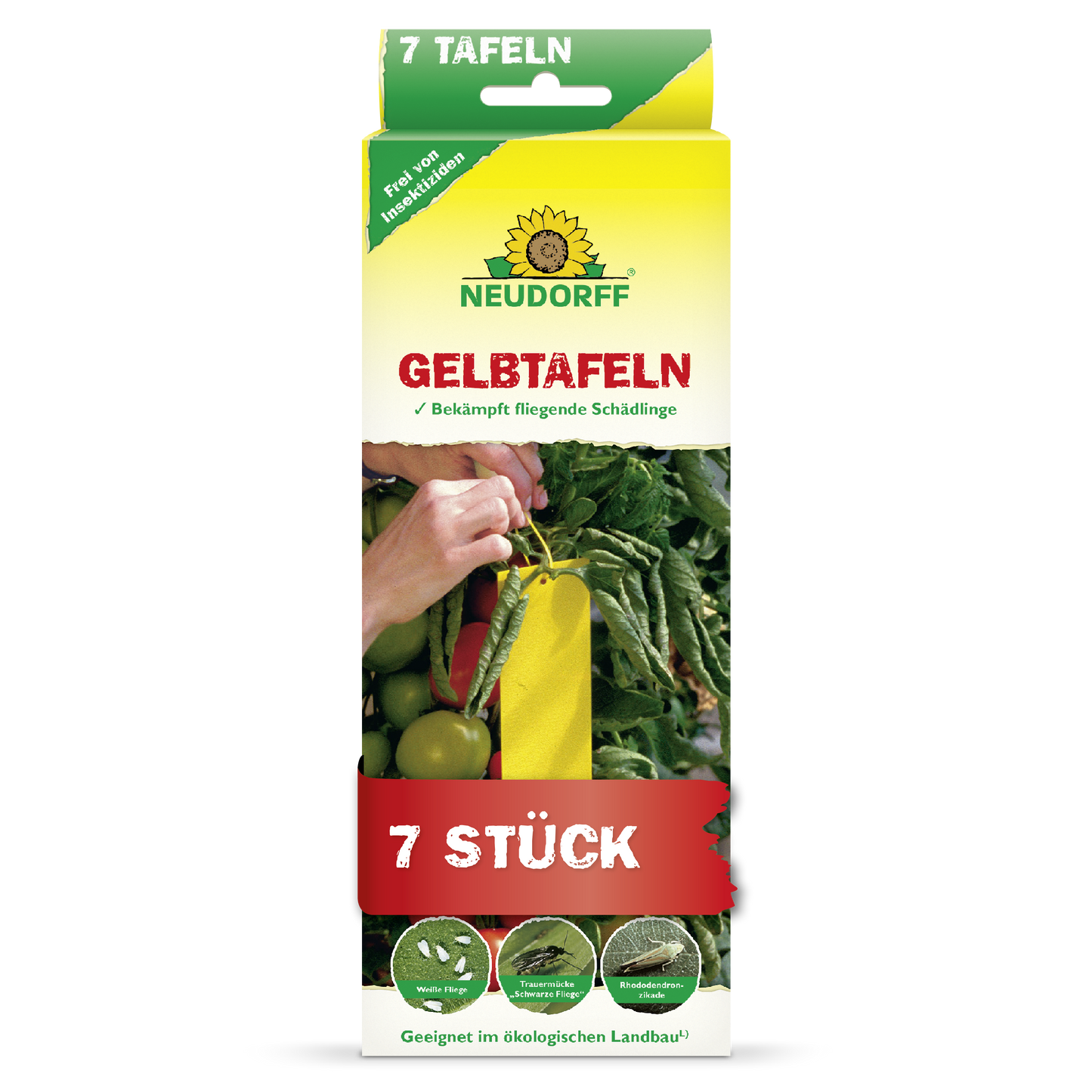 Gelbtafeln (kleinformatig)
