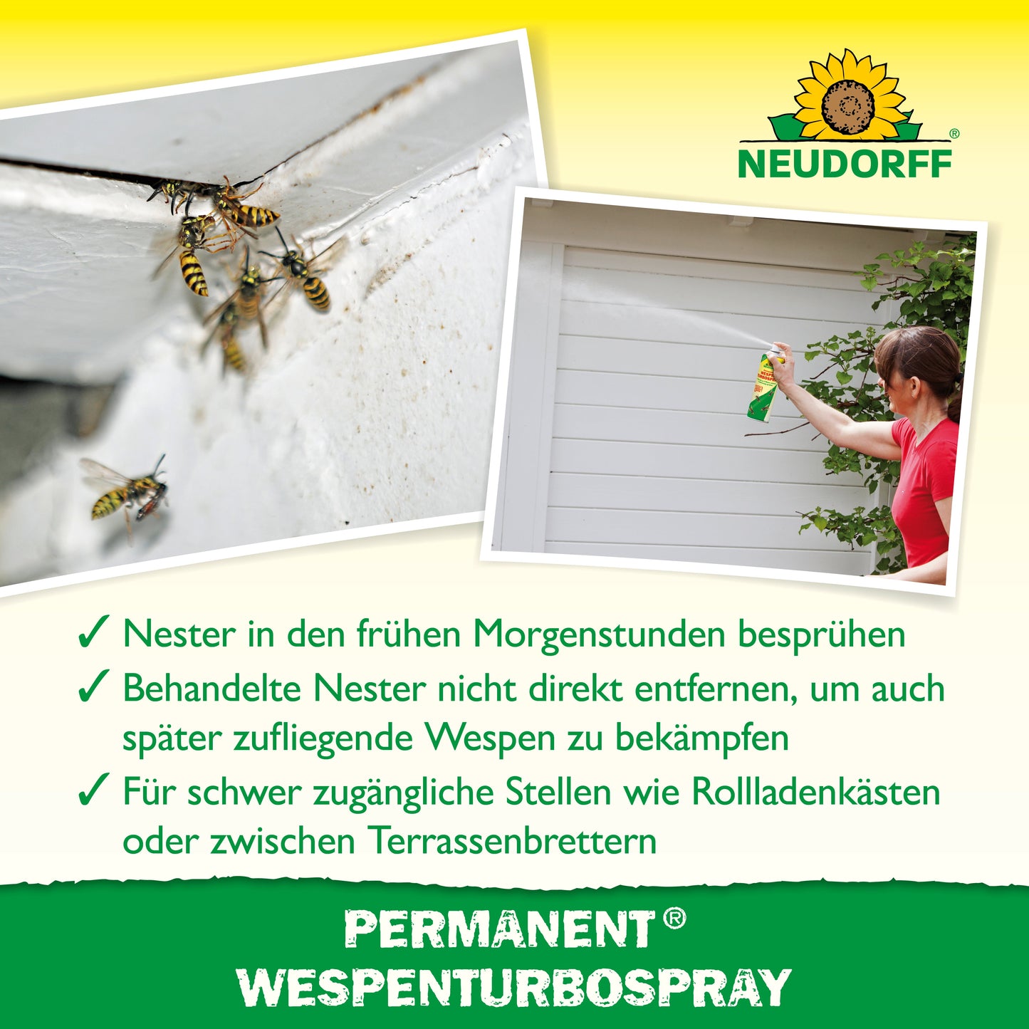 Permanent WespenTURBOSpray