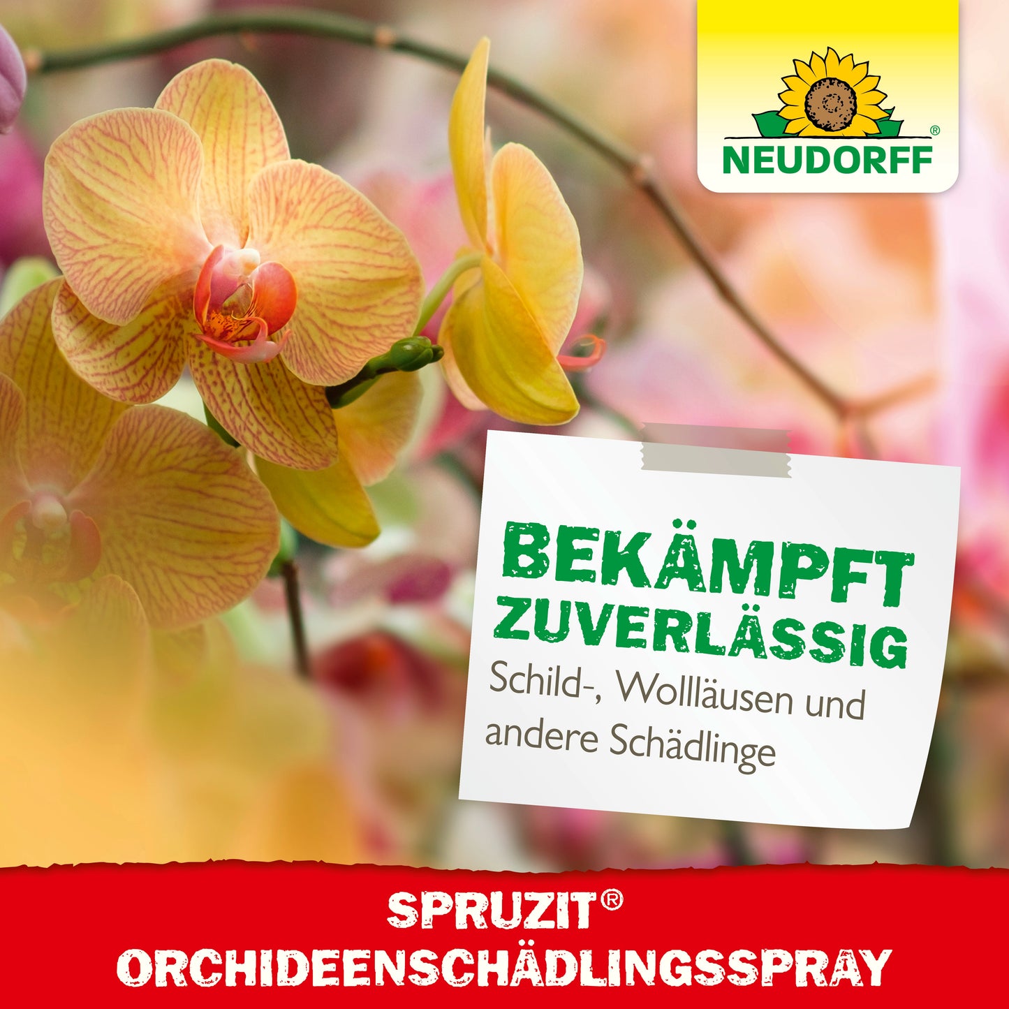 Spruzit OrchideenSchädlingsSpray