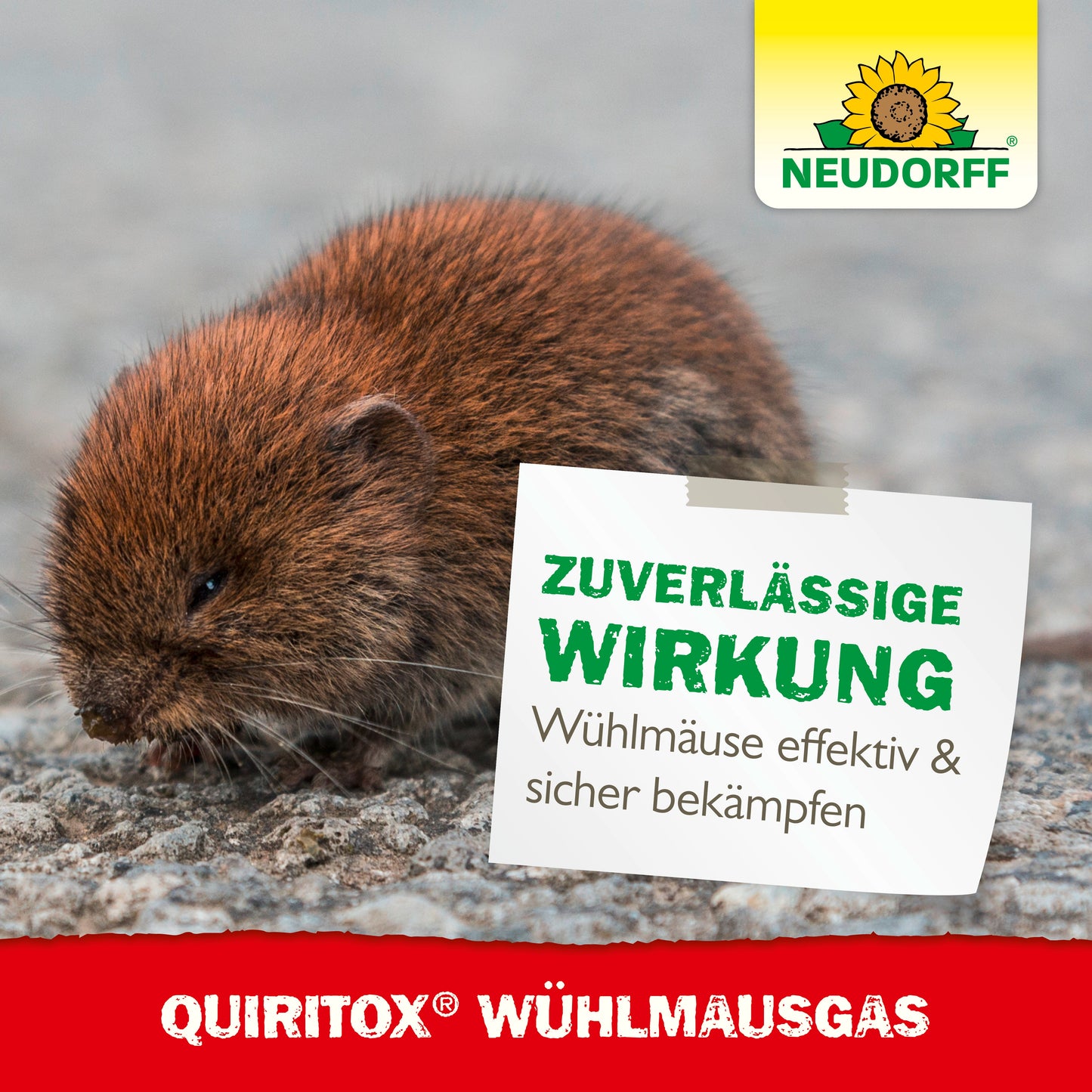 Quiritox WühlmausGas