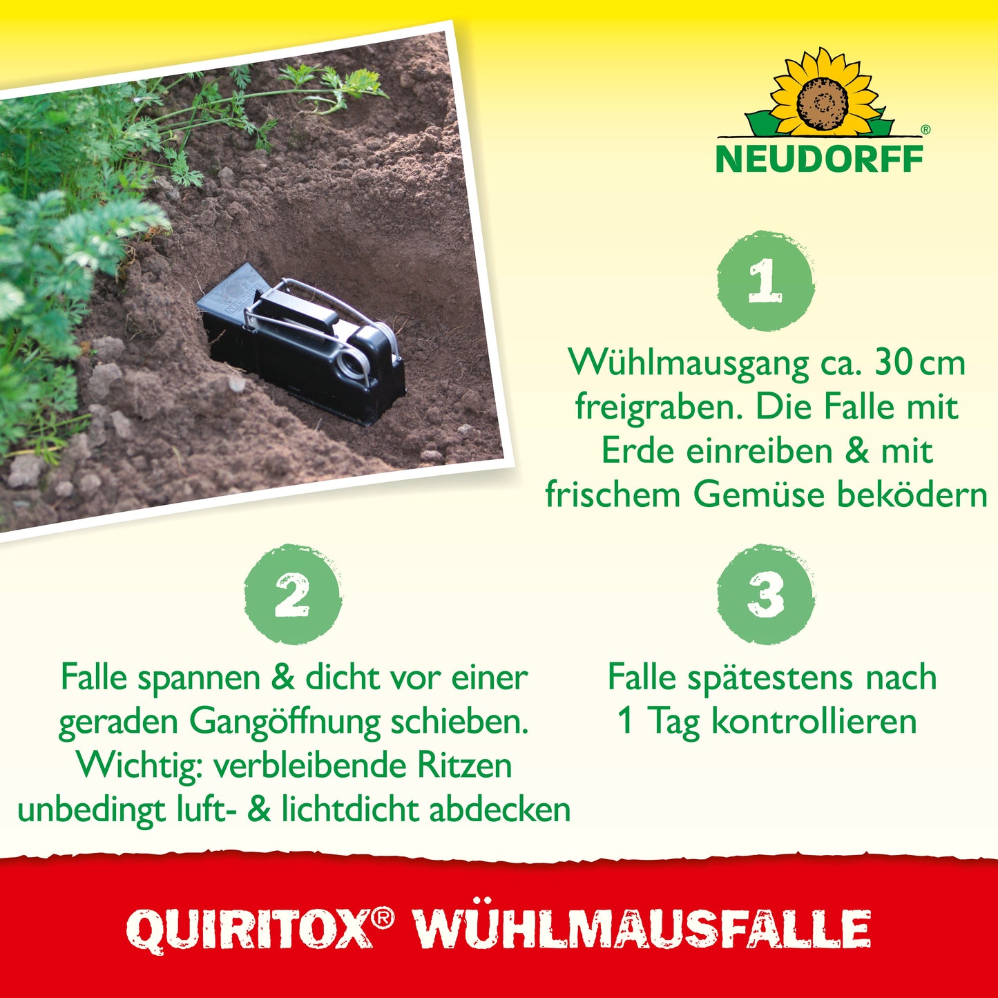 Quiritox WühlmausFalle