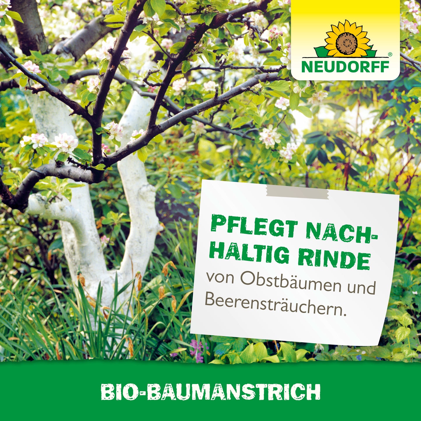 Bio-Baumanstrich