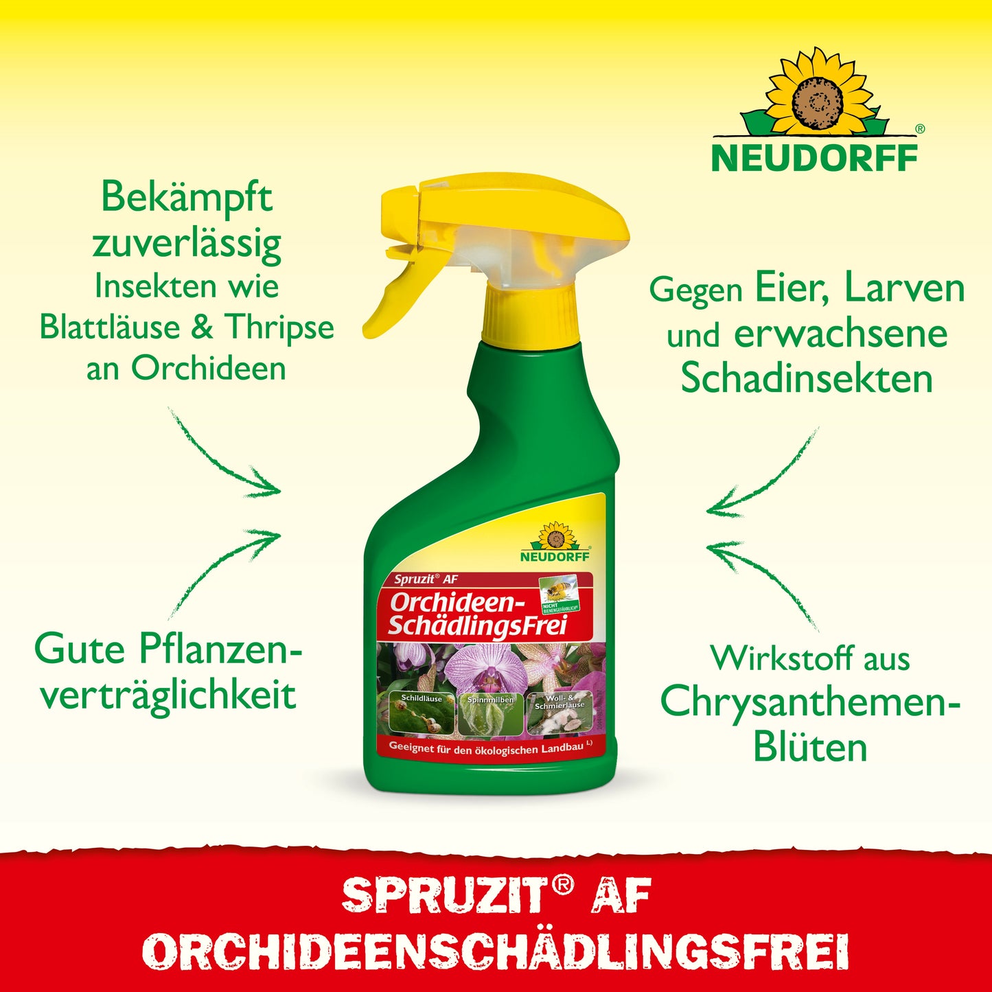 Spruzit AF Orchideen SchädlingsFrei