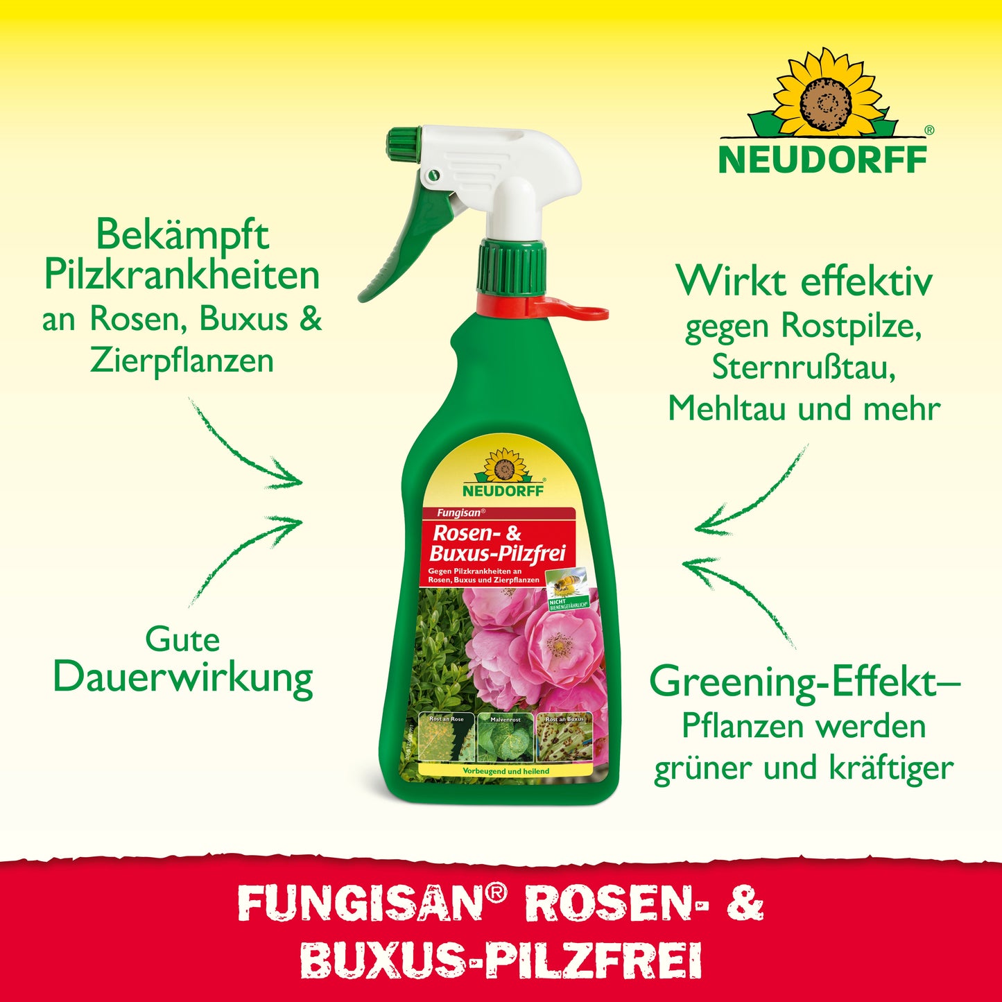 Fungisan Rosen- und Buxus-Pilzfrei