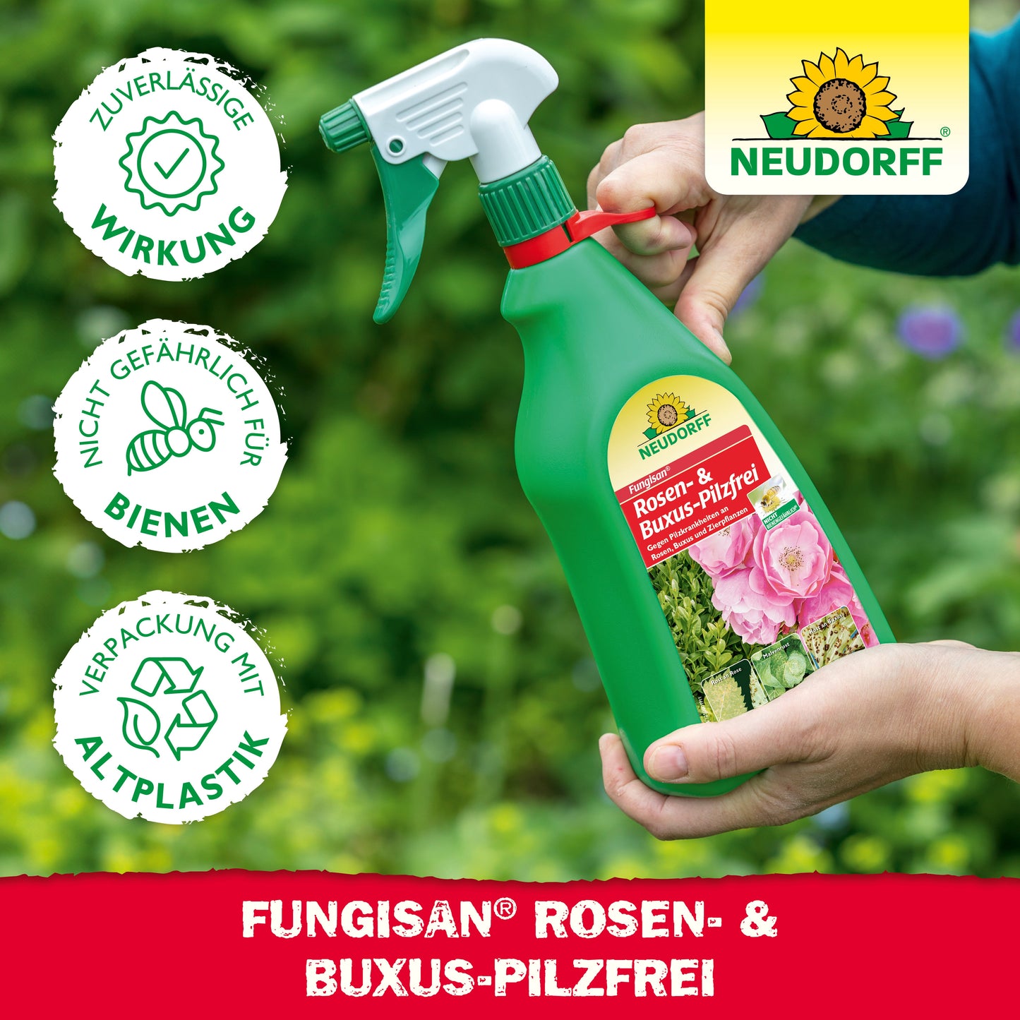 Fungisan Rosen- und Buxus-Pilzfrei