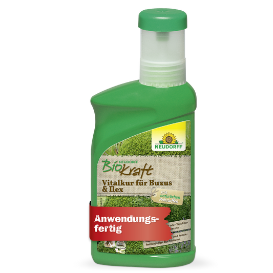 Neudorff BioKraft Vitalkur für Buxus & Ilex