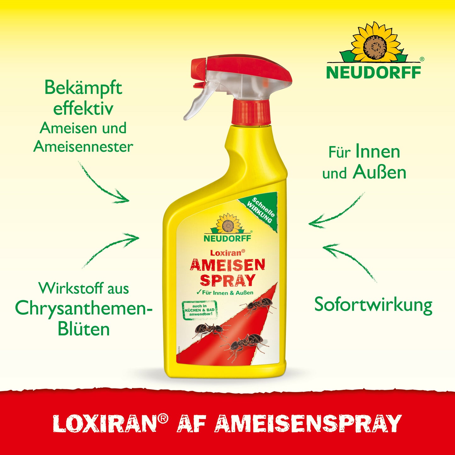 Loxiran AF AmeisenSpray