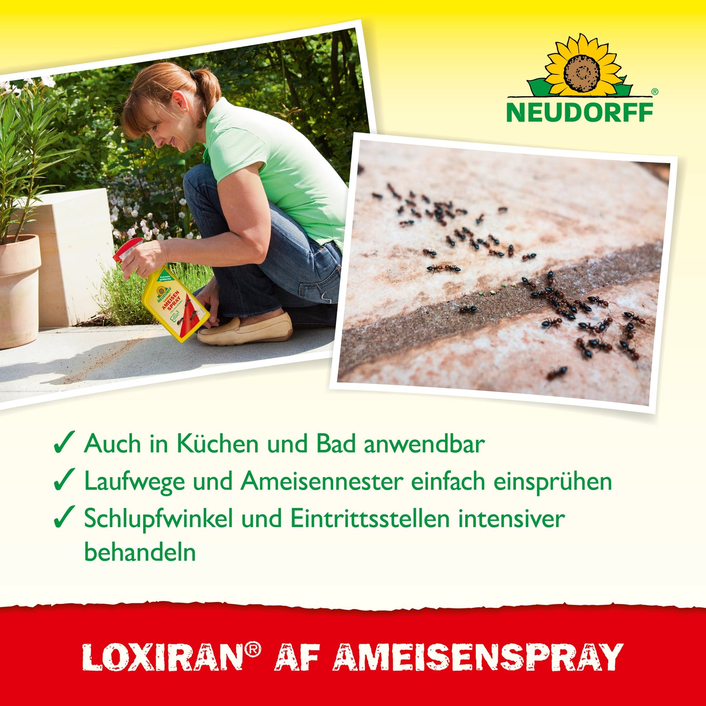 Loxiran AF AmeisenSpray