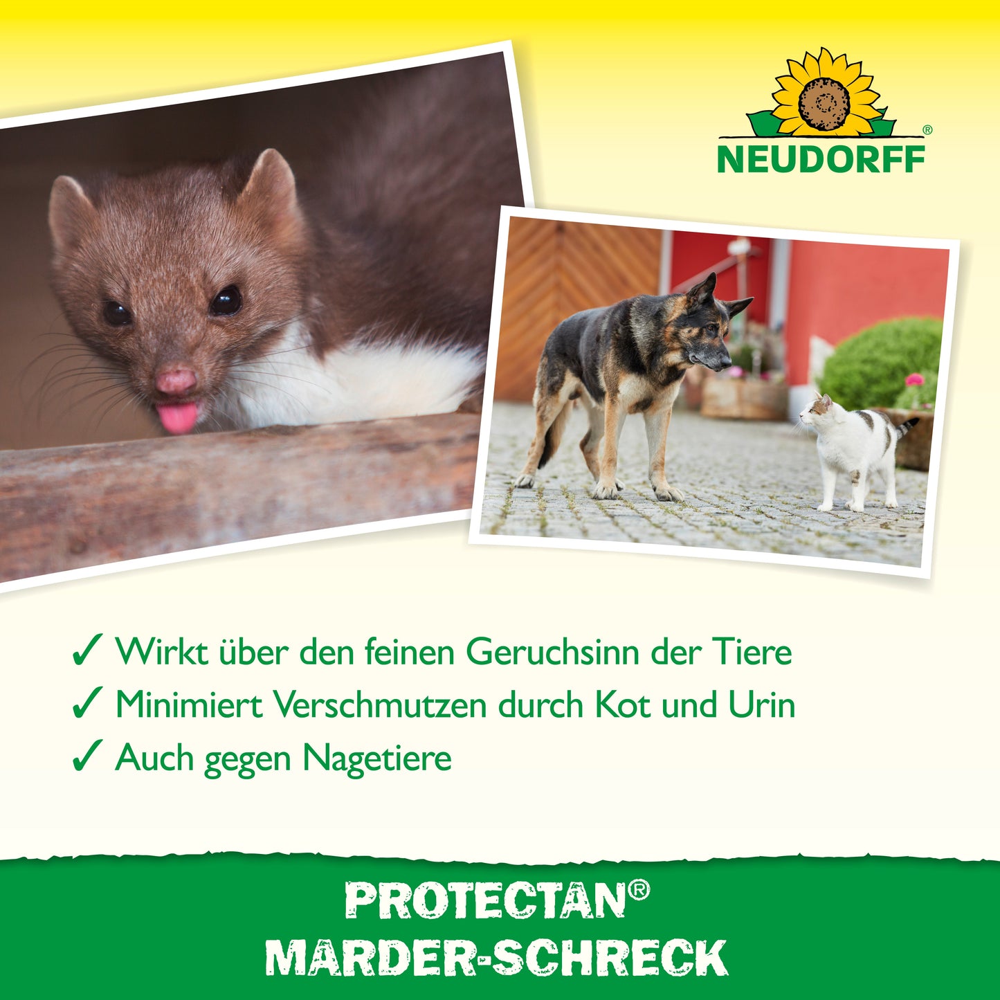 Protectan Marder-Schreck