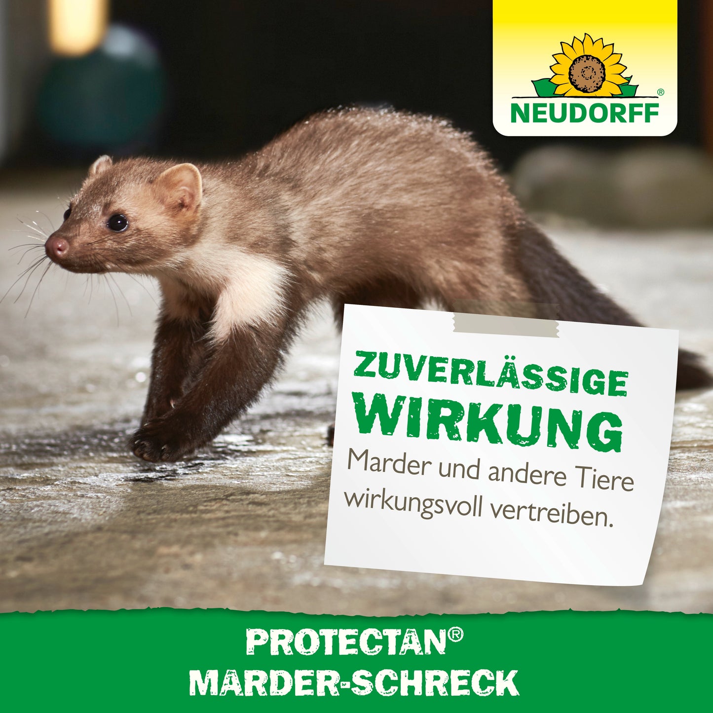 Protectan Marder-Schreck