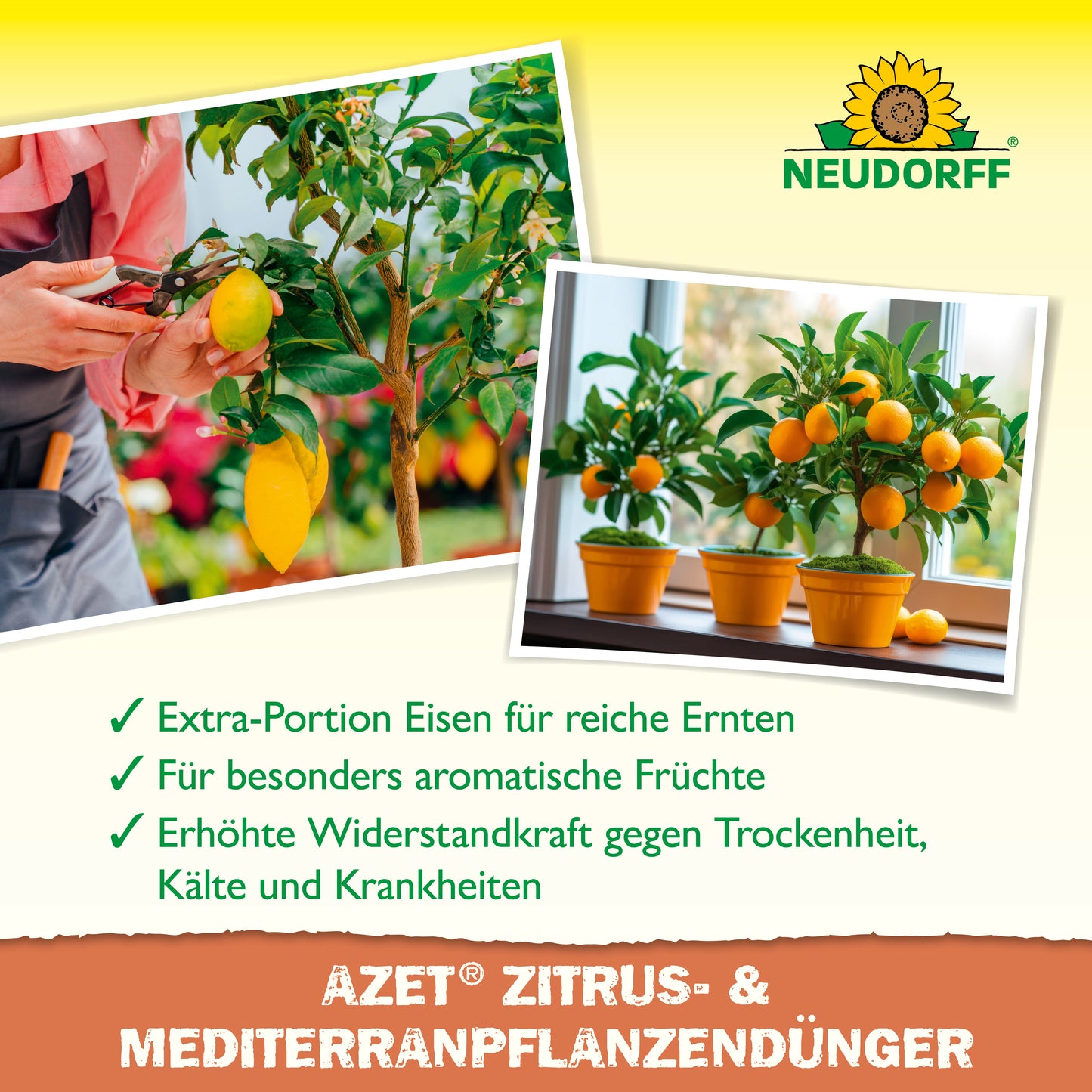 Azet Zitrus- & MediterranpflanzenDünger flüssig