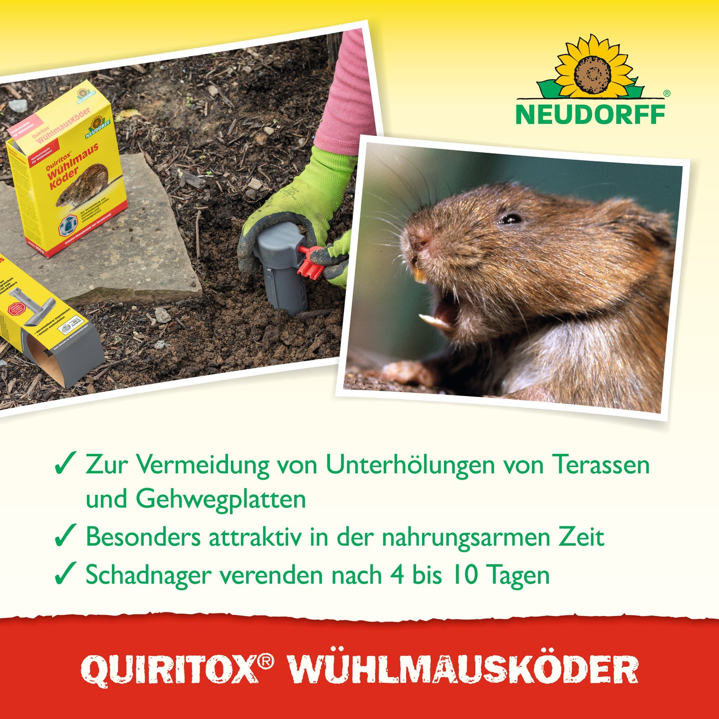 Quiritox WühlmausKöder