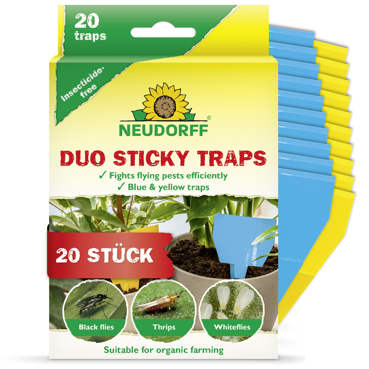 Duo Sticky Traps
