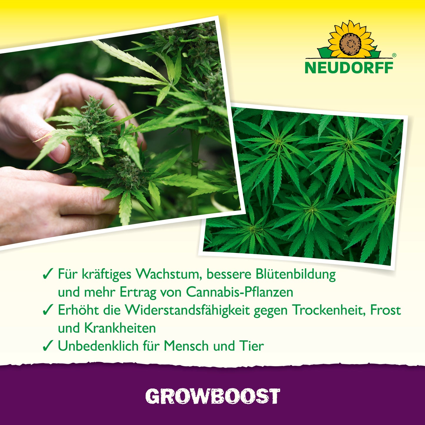 GrowBoost