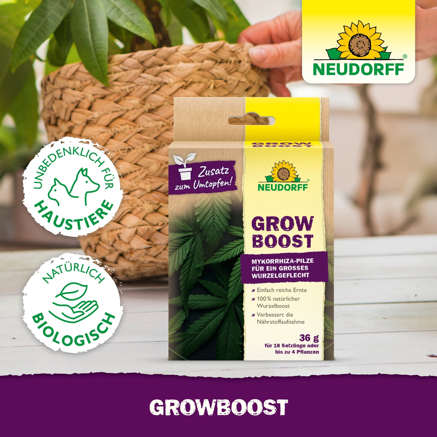 GrowBoost