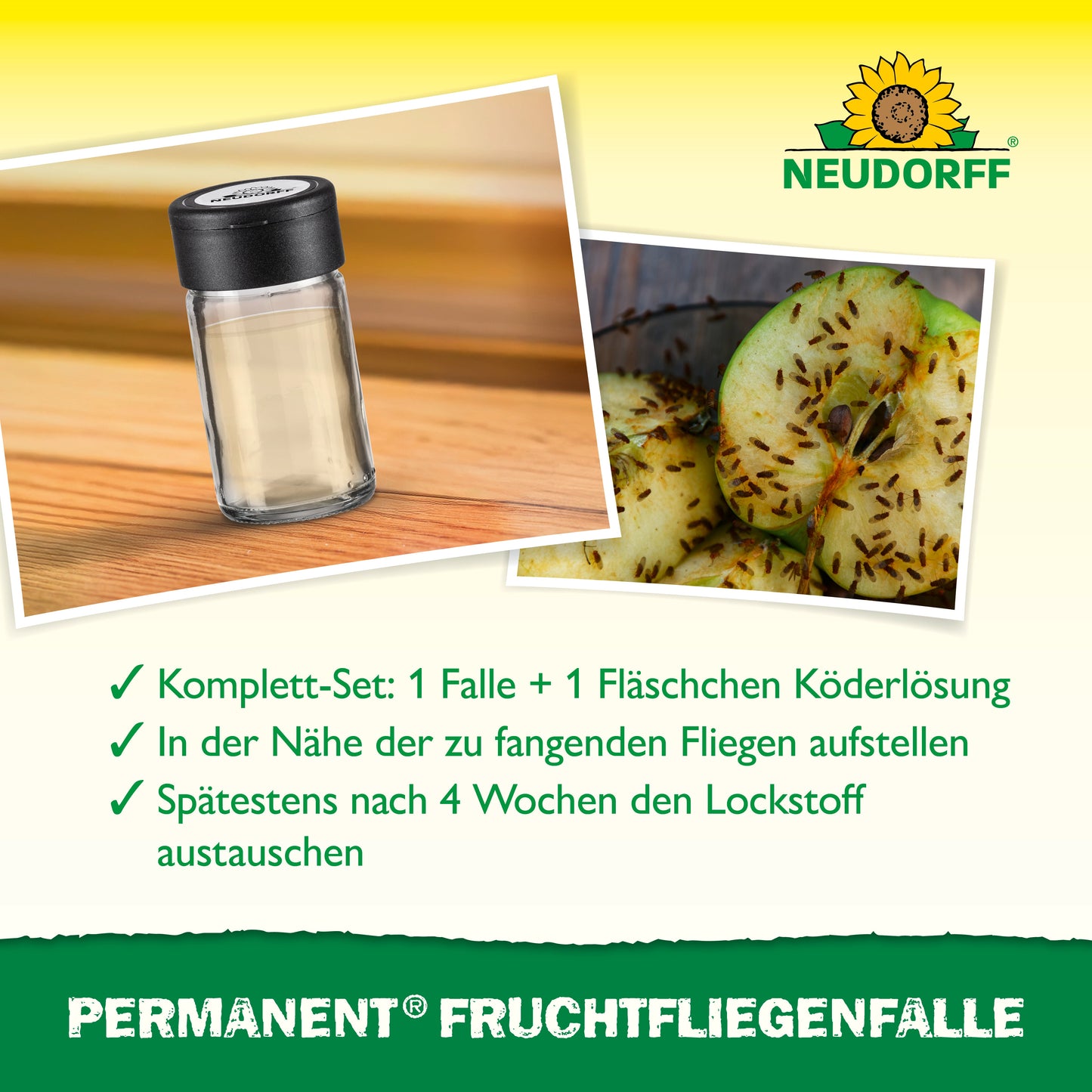 Permanent FruchtfliegenFalle