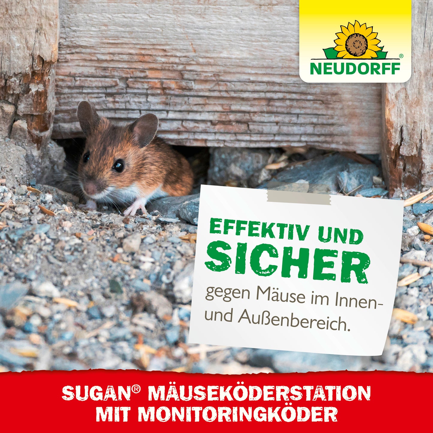 Sugan MäuseKöderStation mit Monitoringköder