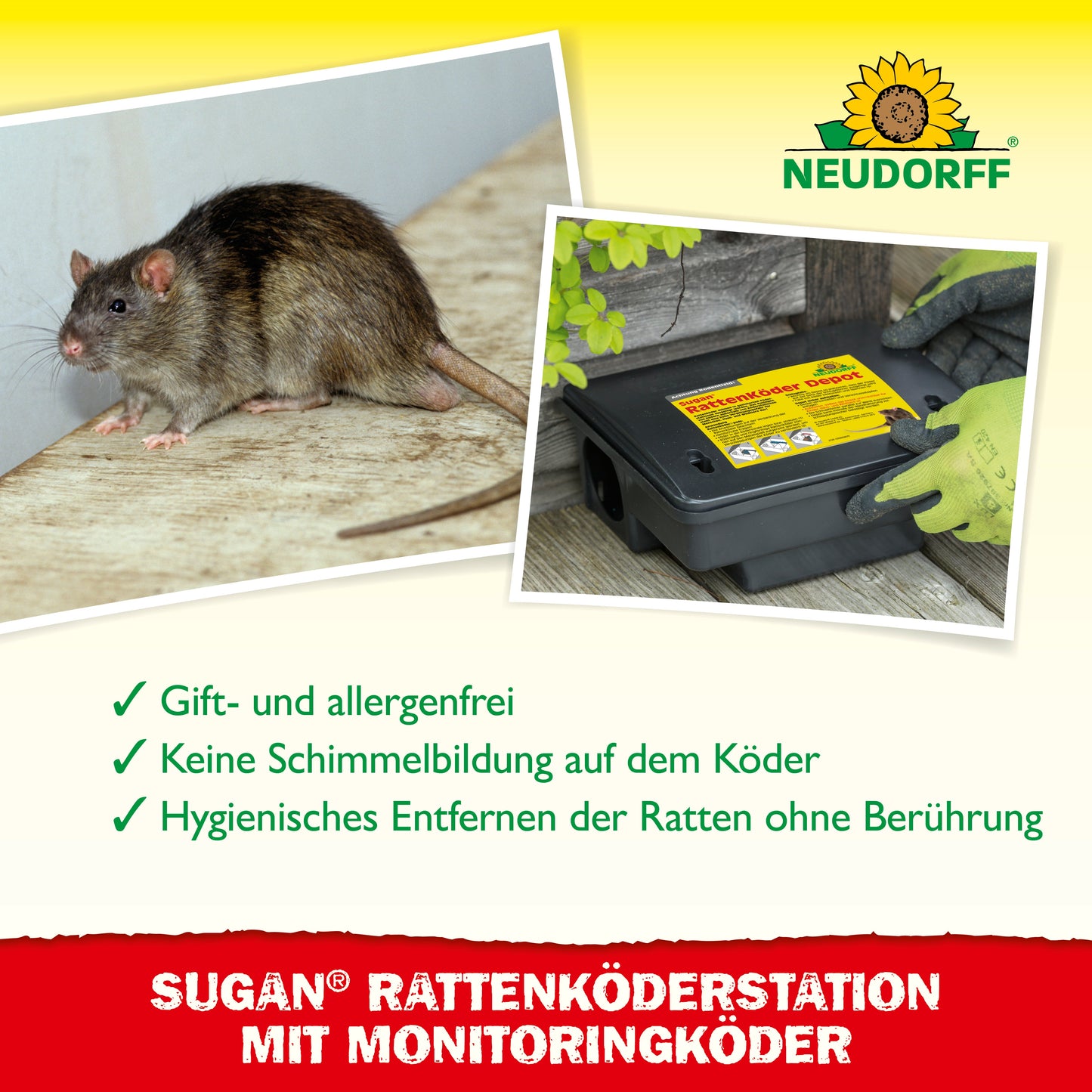 Sugan RattenKöderStation mit Monitoringköder
