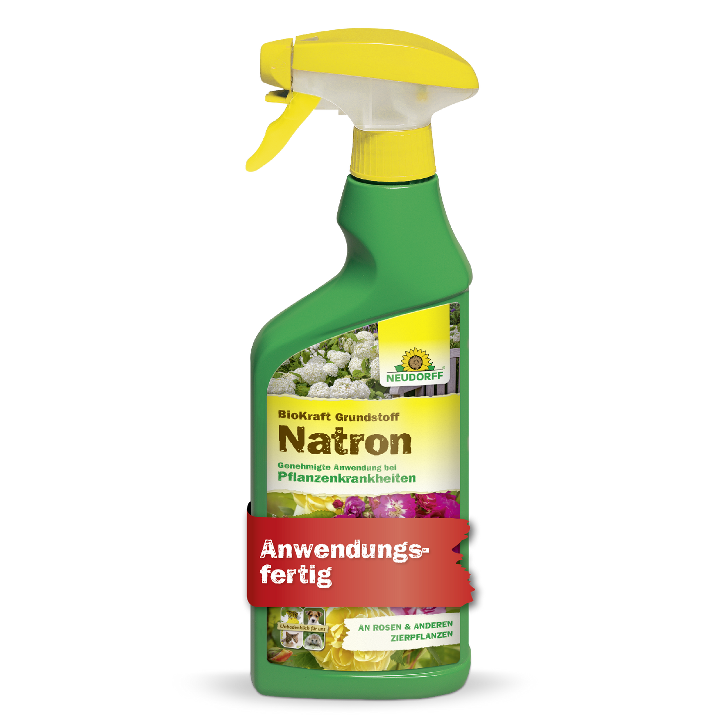 BioKraft Grundstoff Natron 500ml