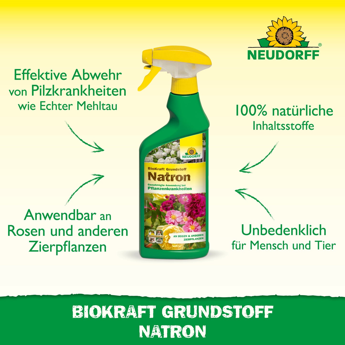 BioKraft Grundstoff Natron 500ml