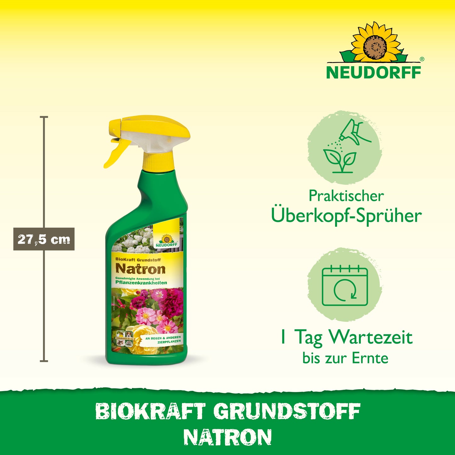 BioKraft Grundstoff Natron 500ml