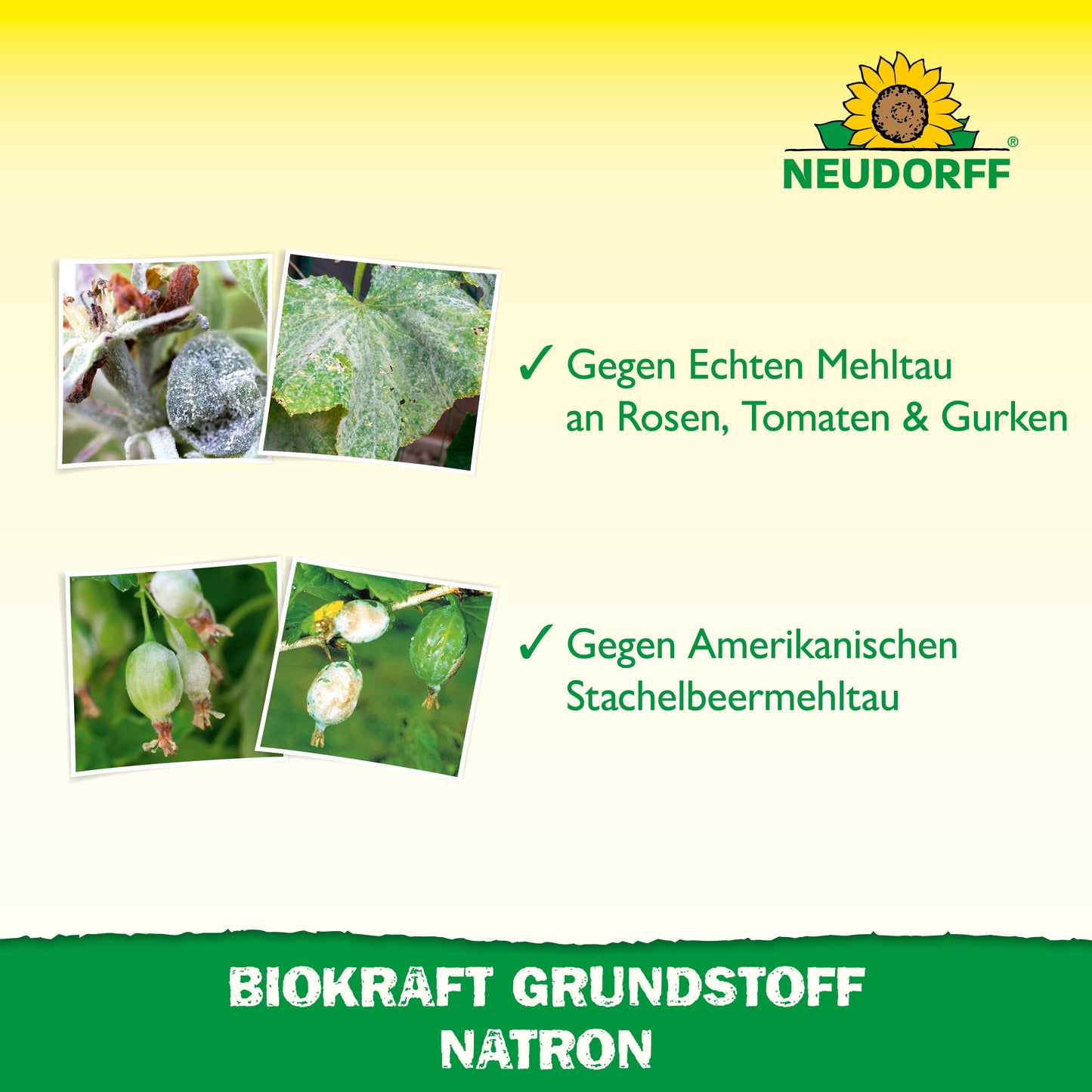 BioKraft Grundstoff Natron 500ml