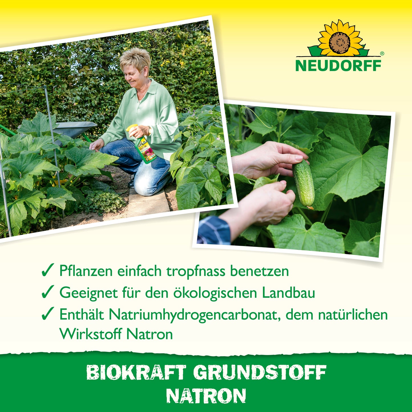 BioKraft Grundstoff Natron 500ml