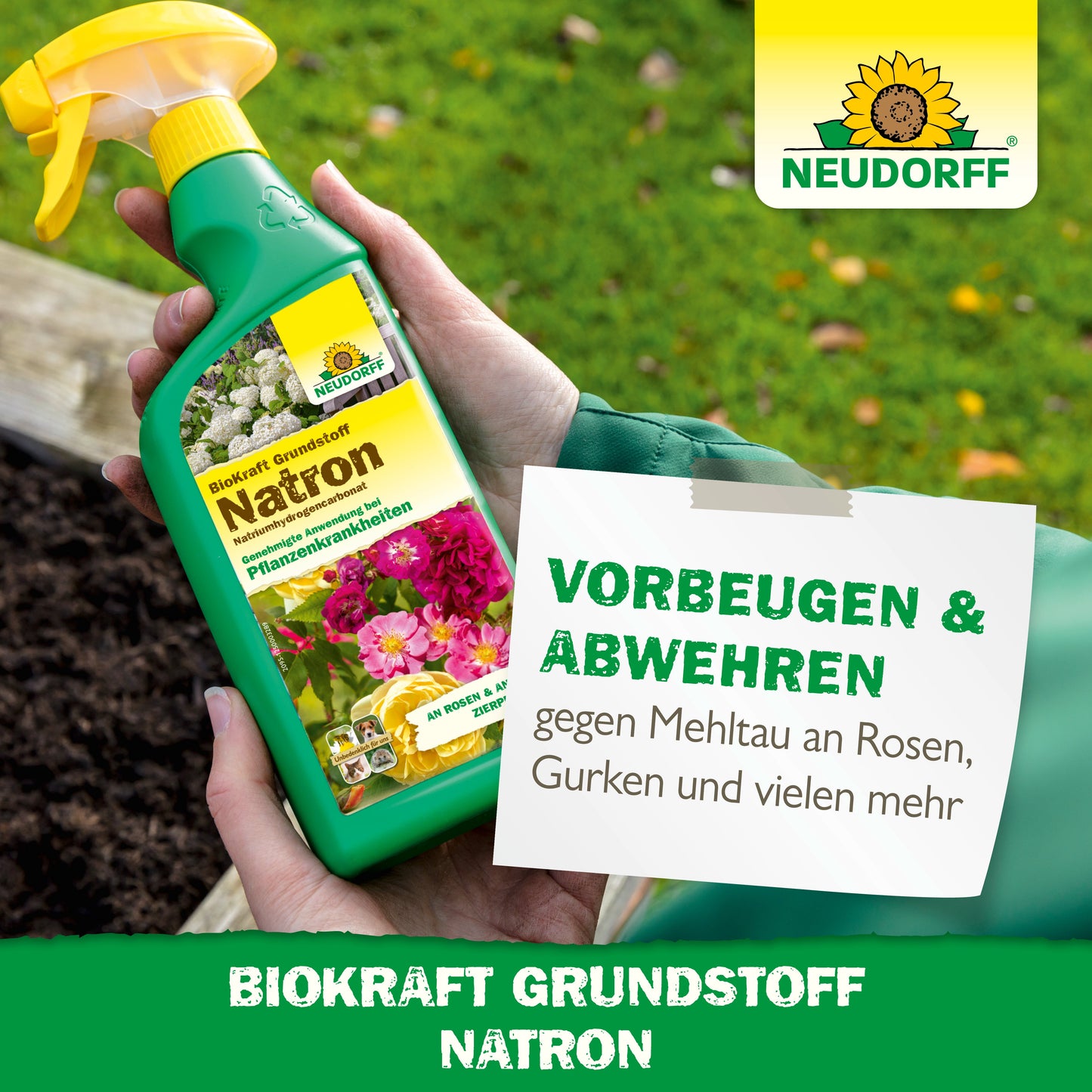 BioKraft Grundstoff Natron 500ml