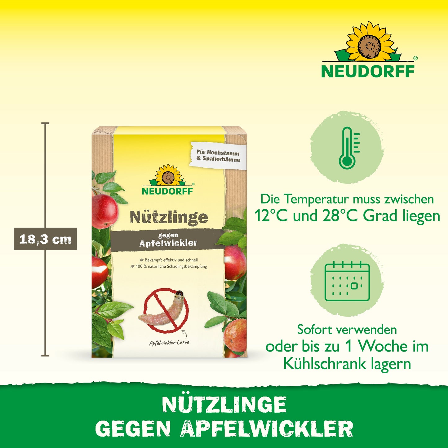 Nützlinge gegen Apfelwickler