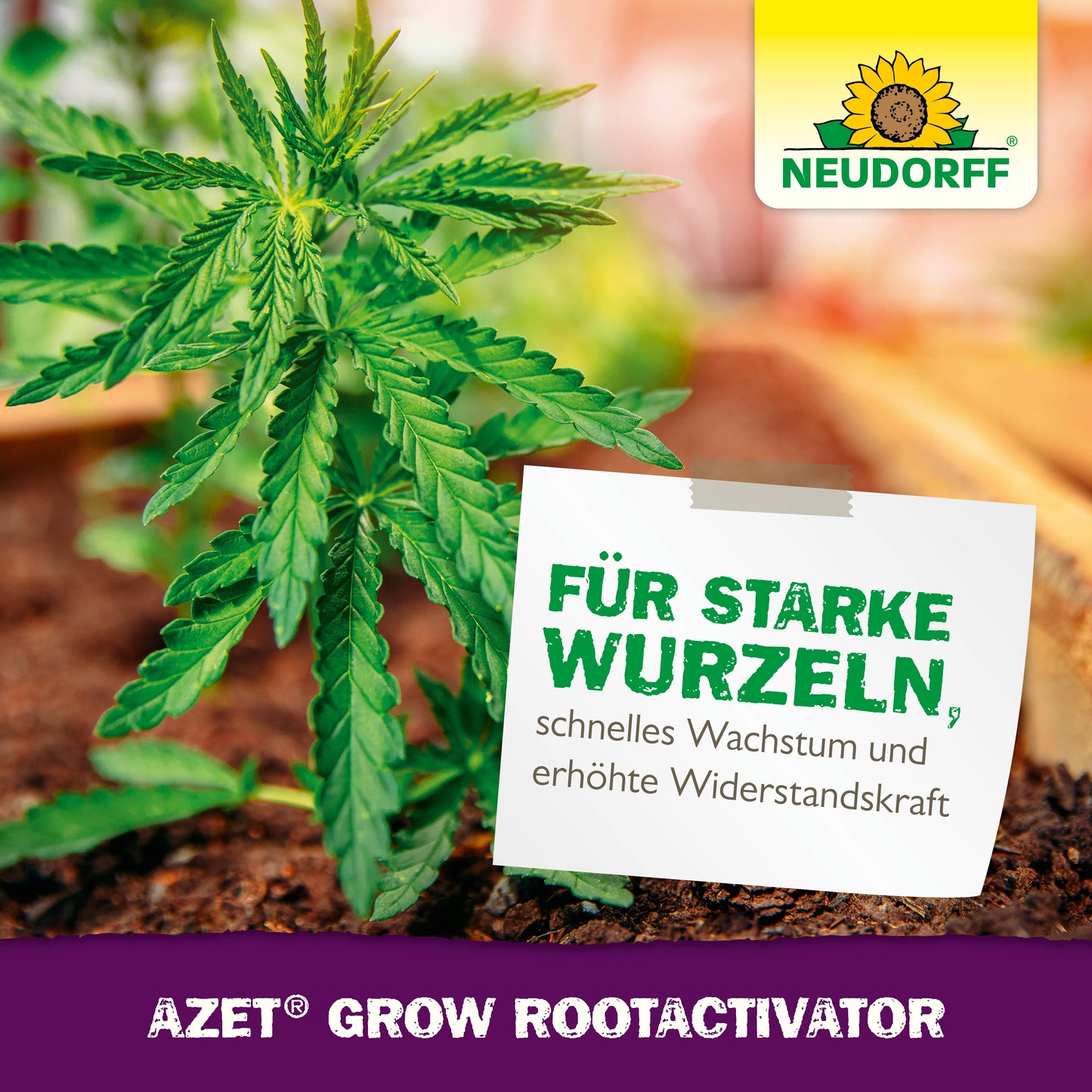 GrowRootActivator