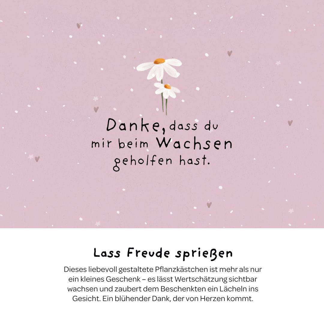 Pflanzkästchen - Danke wachsen