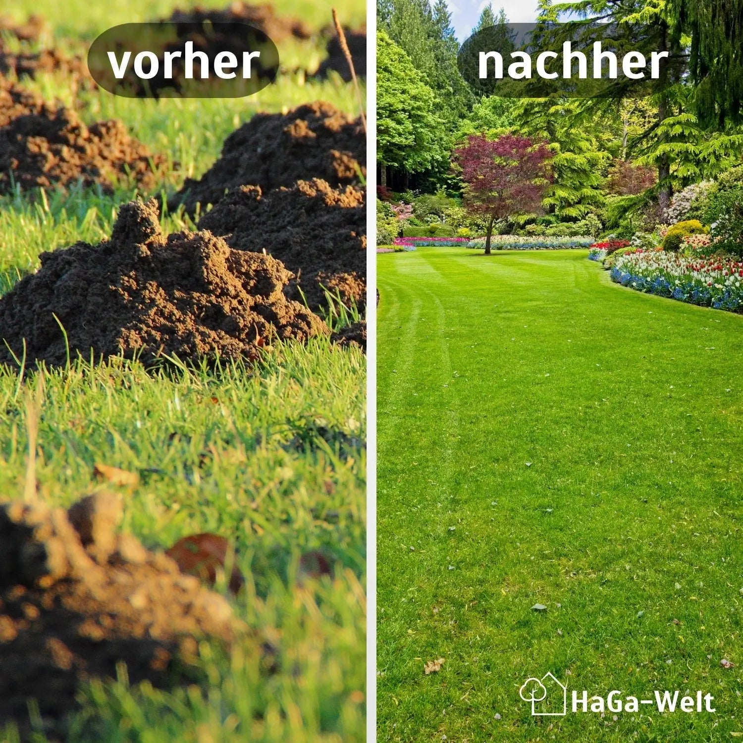 Maulwurfnetz – effektiver Schutz gegen Maulwürfe HaGa-Welt