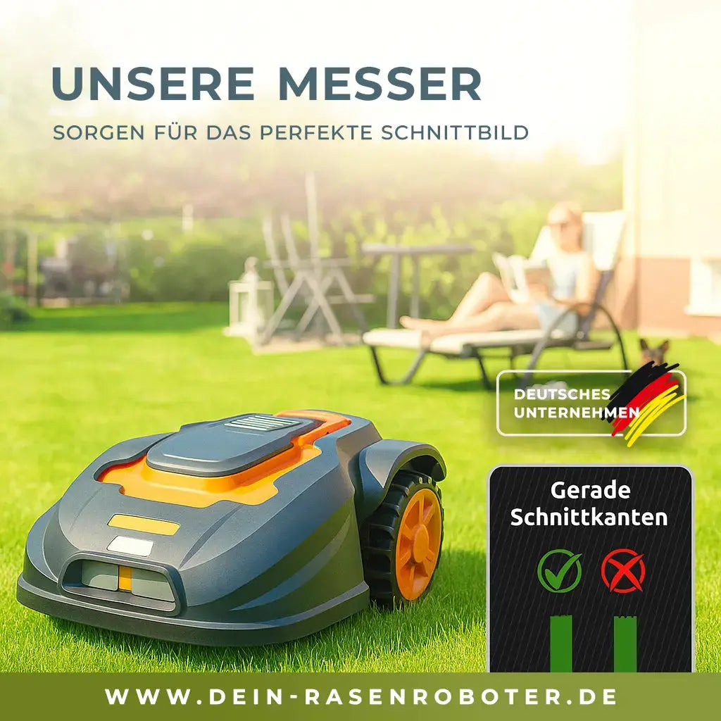 Lieferumfang des 30er-Packs Carbon-Klingen inklusive 30 neuer Befestigungsschrauben.