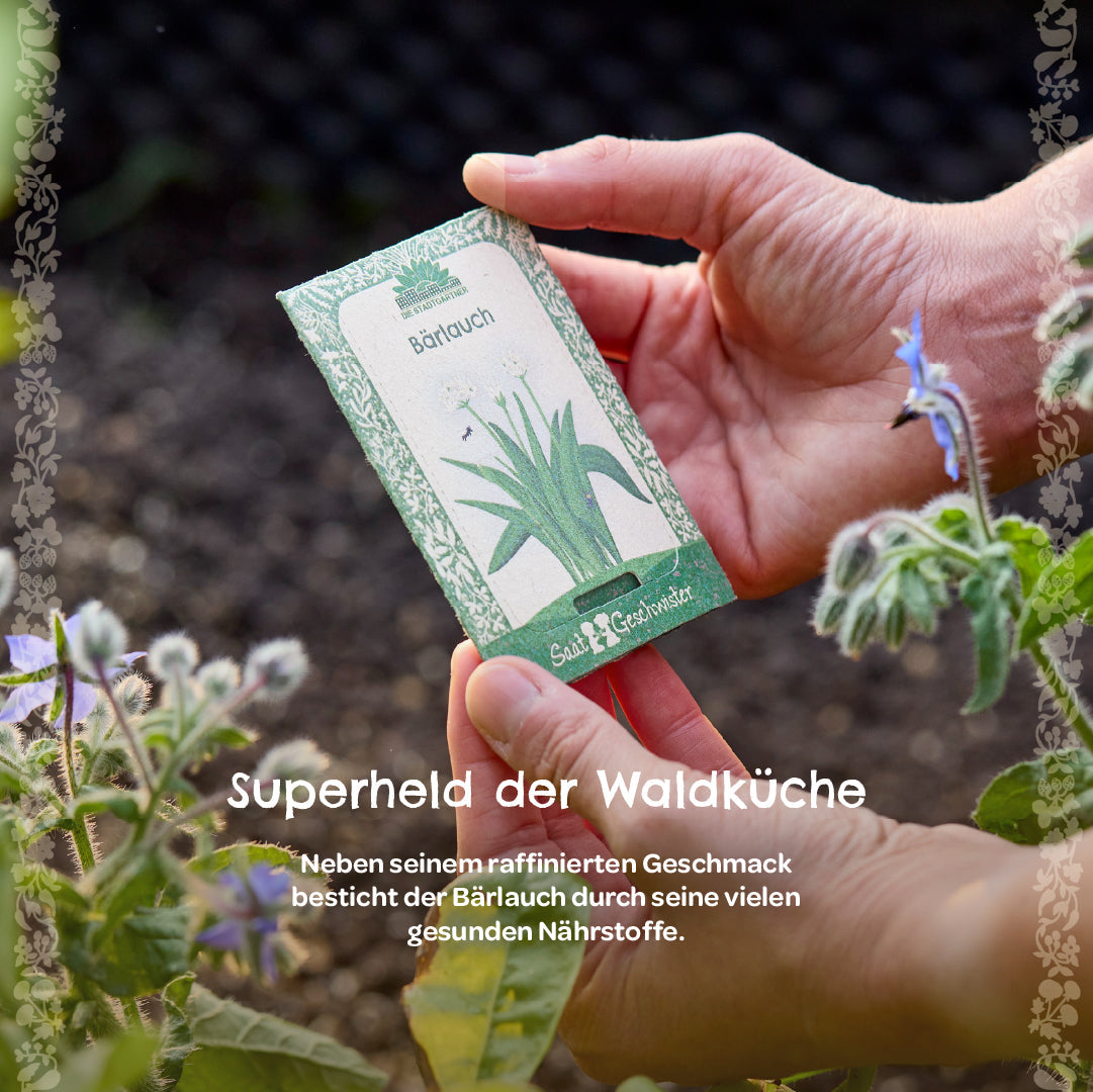 Saatgut Bärlauch