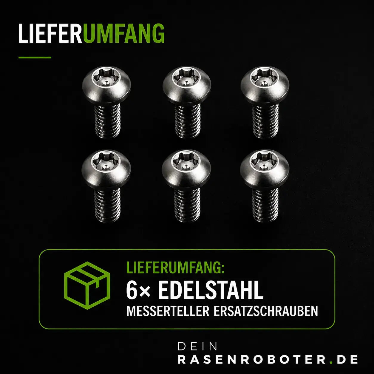Vergleich zwischen verrosteter Kreuzschlitz-Originalschraube und der rostfreien Torx-Edelstahlschraube